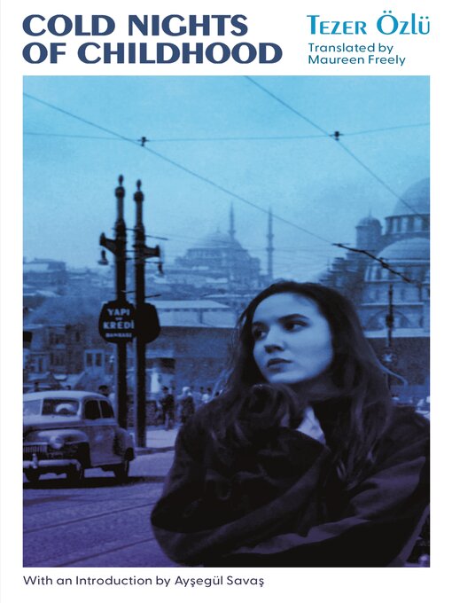 Title details for Cold Nights of Childhood by Tezer Özlü - Wait list